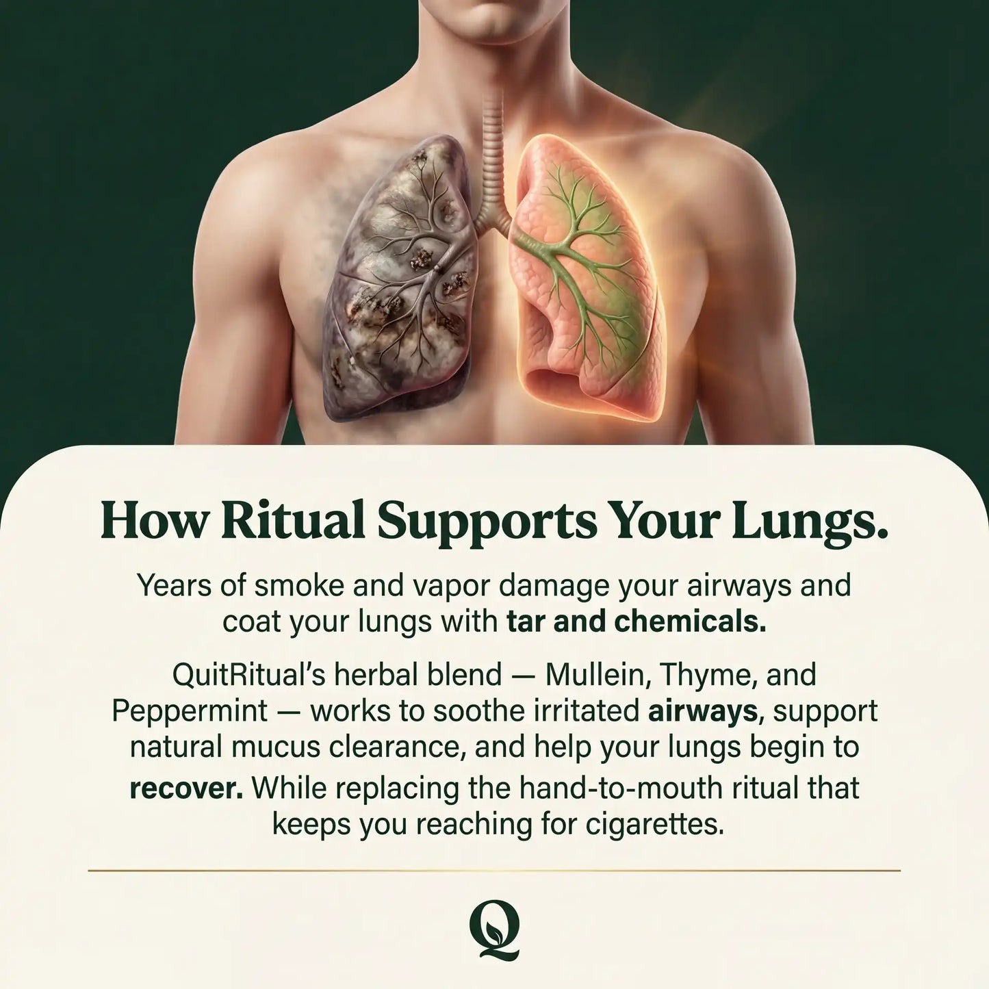 Lung Reversal System — Quit Nicotine, Clear Your Lungs