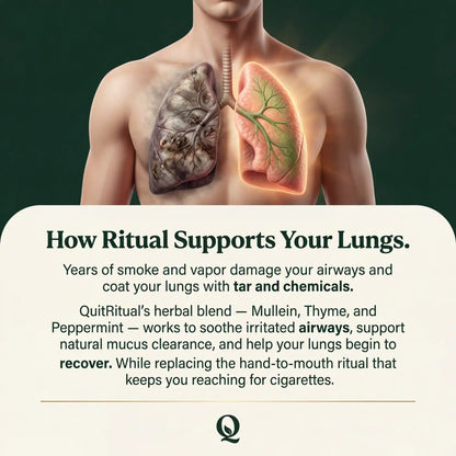 Lung Reversal System — Quit Nicotine, Clear Your Lungs