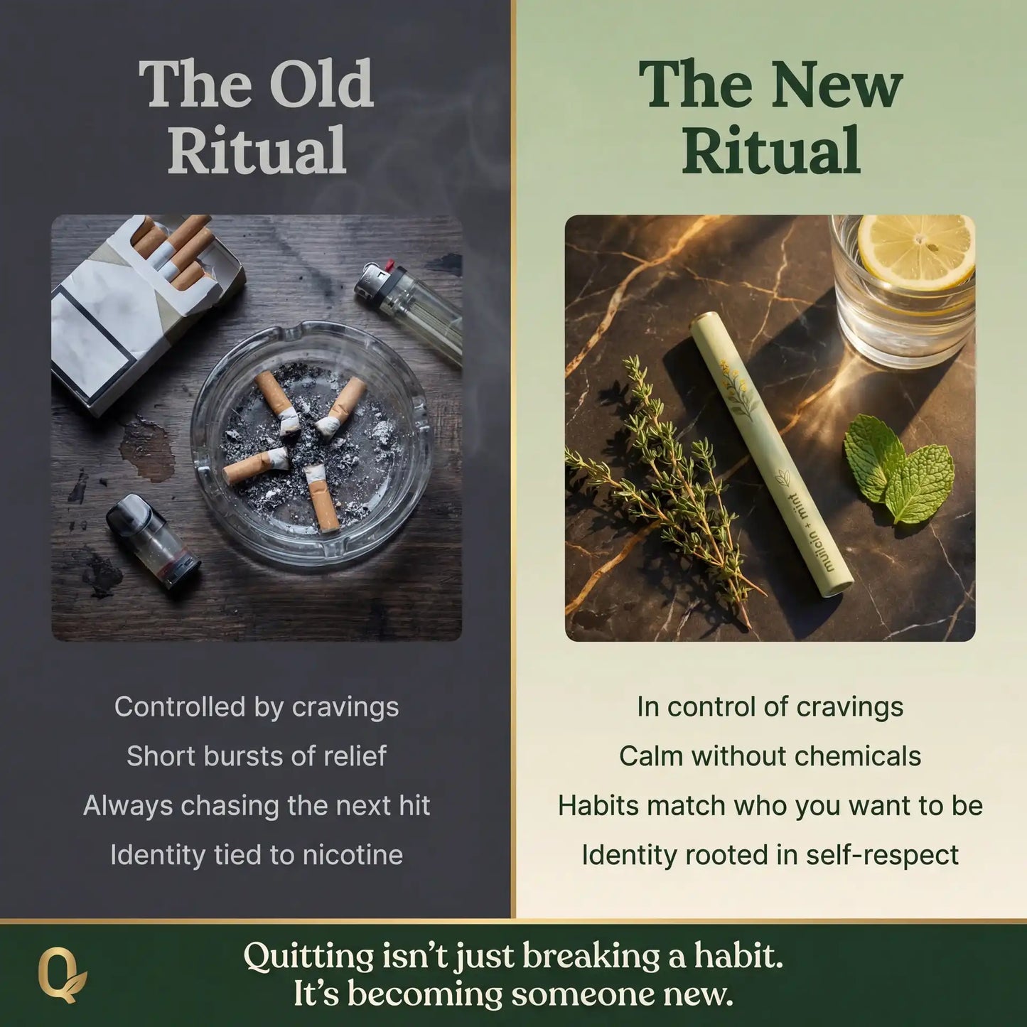 Lung Reversal System — Quit Nicotine, Clear Your Lungs