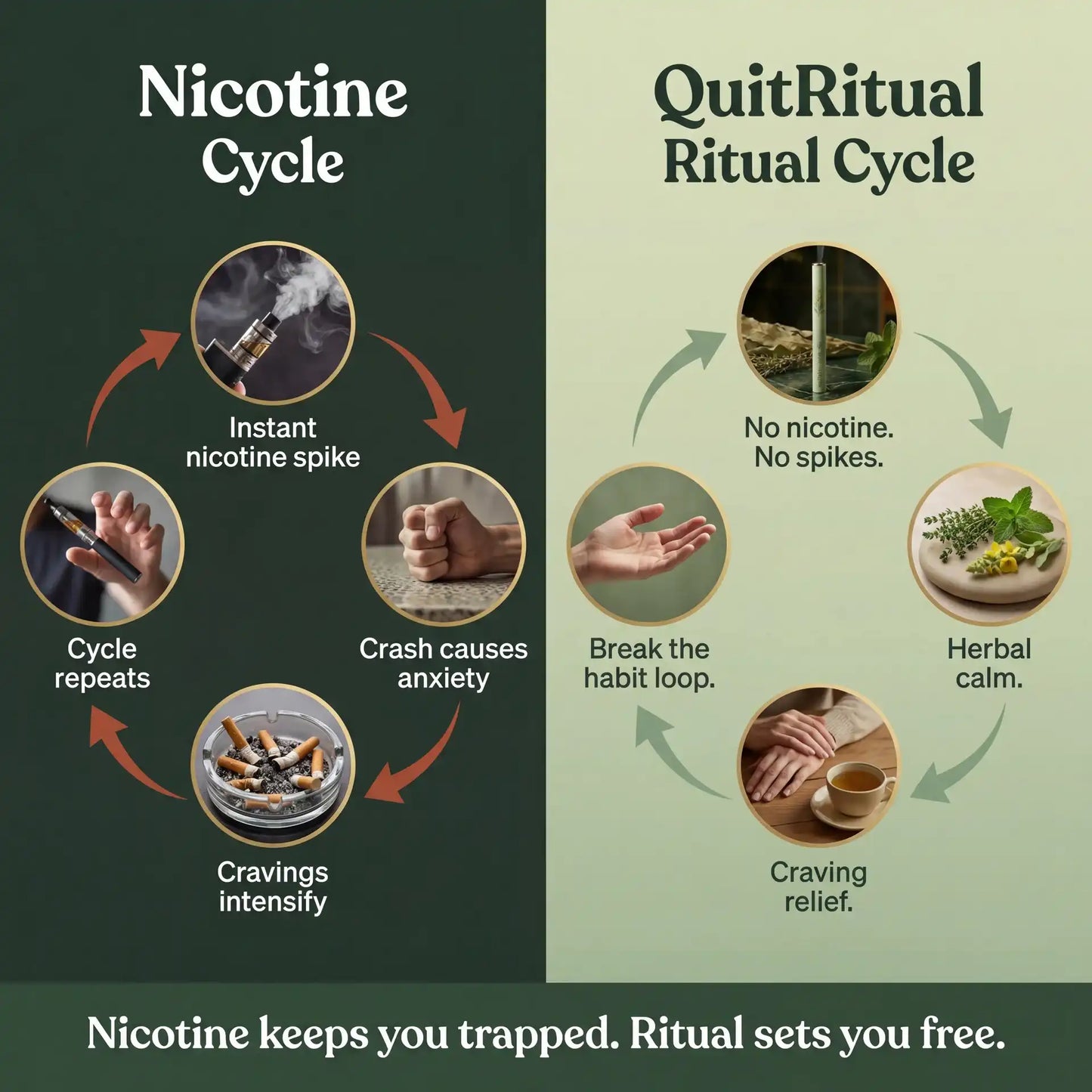 Lung Reversal System — Quit Nicotine, Clear Your Lungs