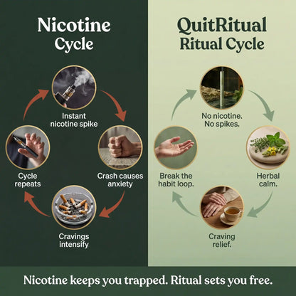 Lung Reversal System — Quit Nicotine, Clear Your Lungs