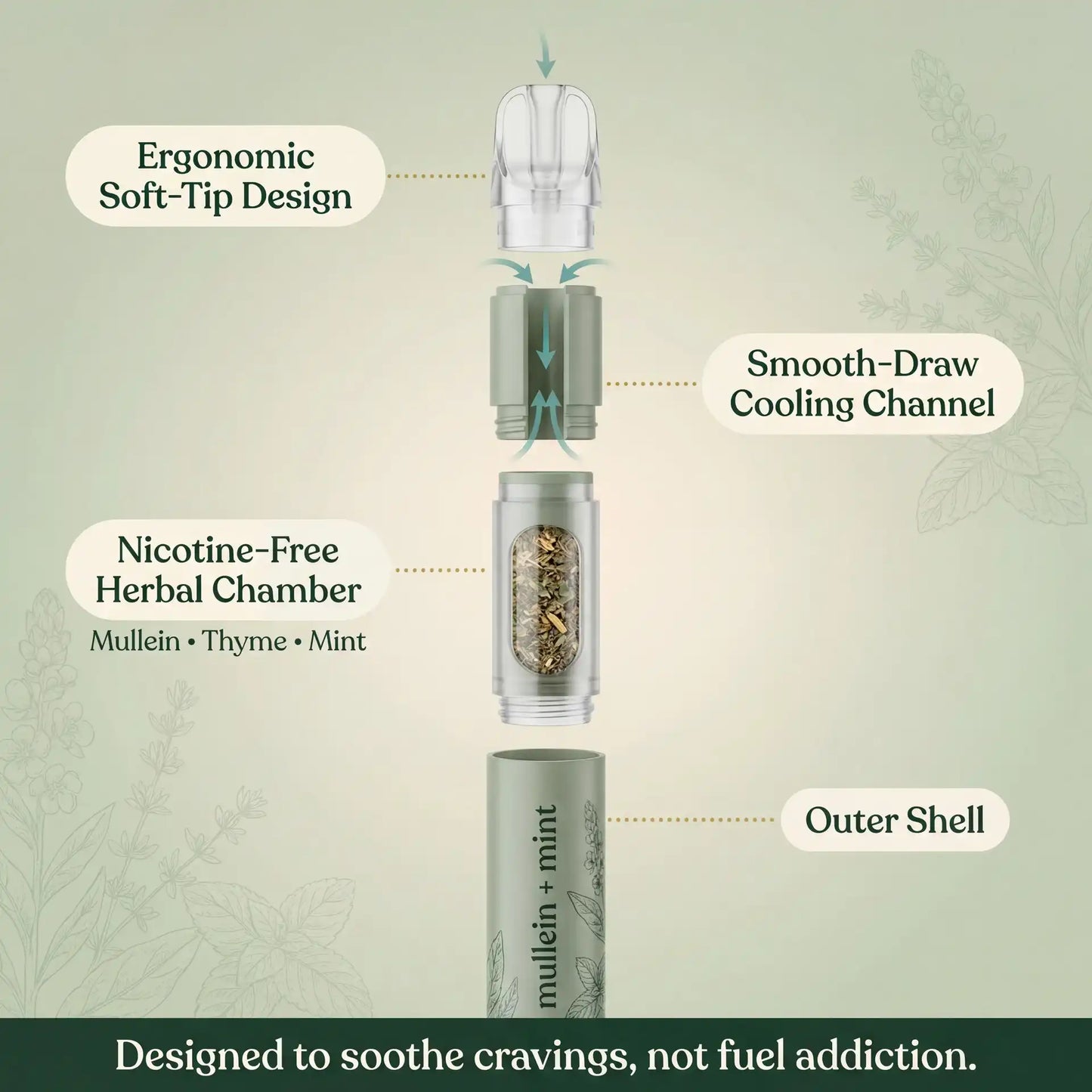 Lung Reversal System — Quit Nicotine, Clear Your Lungs